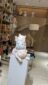Cat Desktop Ornament - Image 4