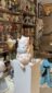 Cat Desktop Ornament - Image 3