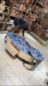 Premium Leather Luxury Center Table
