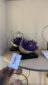 Swan Crystal Flower Decor