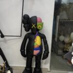 Anatomical KAWS