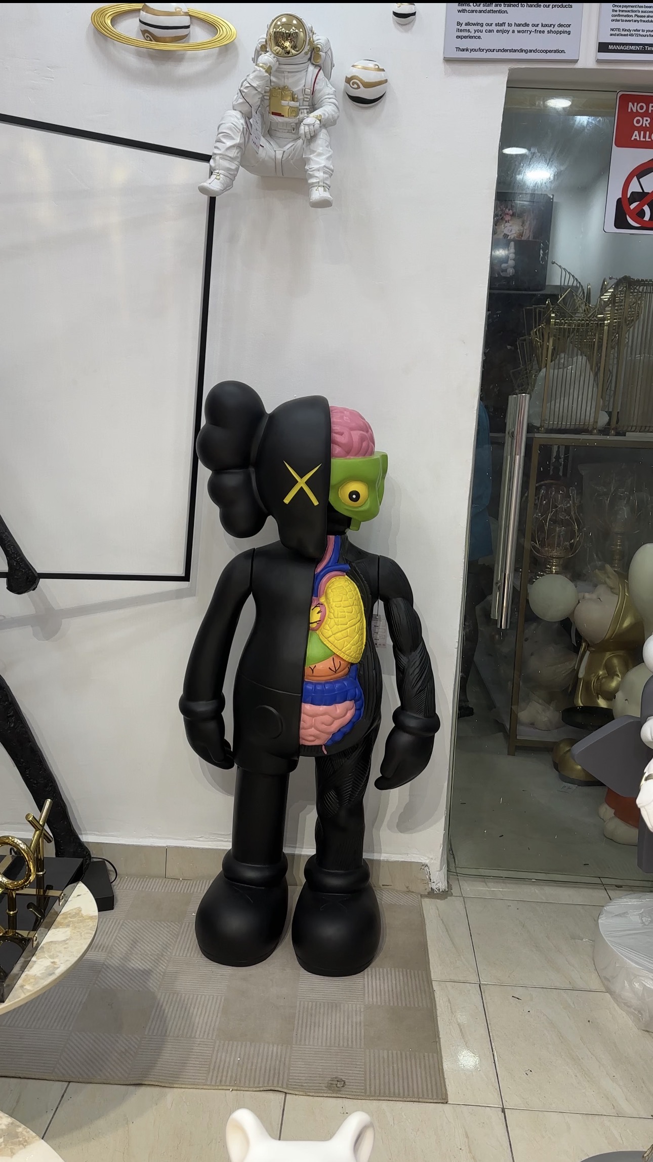 Screenshot Anatomical KAWS - Image 1